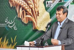 رشد تولید گوشت سفید در سیستان و بلوچستان