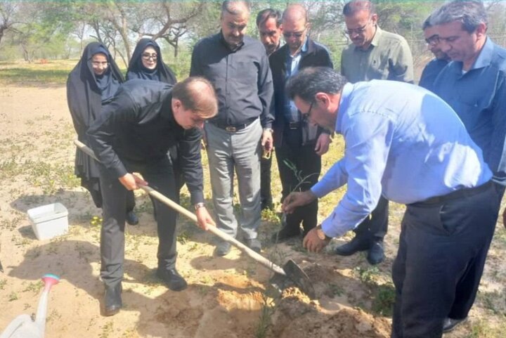 پویش درختکاری «سرو ایران» در دشتستان برگزار شد پویش درختکاری «سرو ایران» در دشتستان برگزار شد