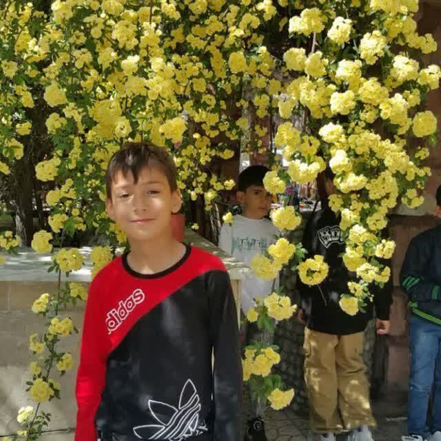 شهادت ۳ دانش آموز لرستانی در حملات هوایی دشمن