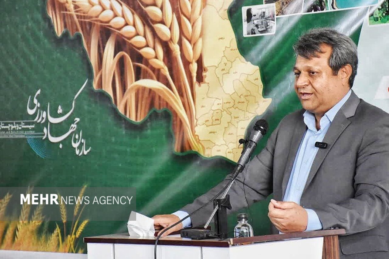 گزارش تحلیلی: مرغداران سیستان و بلوچستان زیر قیمت تمام‌شده تولید می‌کنند | مهر - کد a260