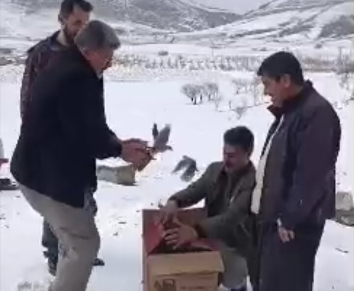 کشف ۱۷ قطعه چکاوک طوقی از متخلفان در سقز