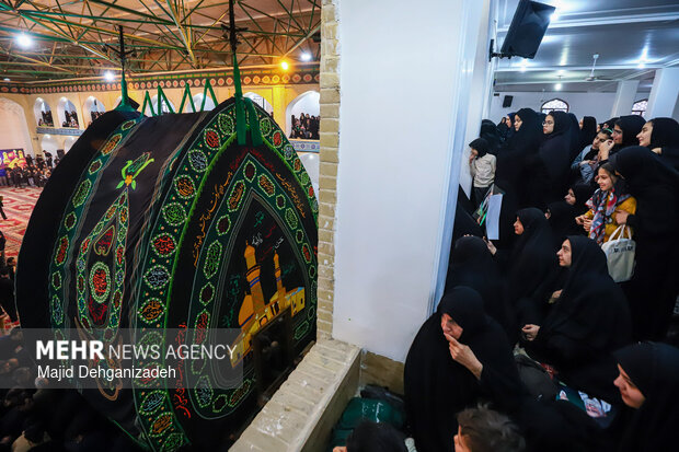 آیین نخلبرداری شهادت حضرت علی(ع) در یزد