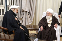 آیت‌الله نوری همدانی: رهبر شهید، نظام اسلامی را با مجد و عظمت حفظ کرد