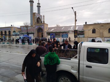 توزیع ۳۰۰۰ نهال «سرو ایران» همزمان با راهپیمایی روز قدس در کرمانشاه