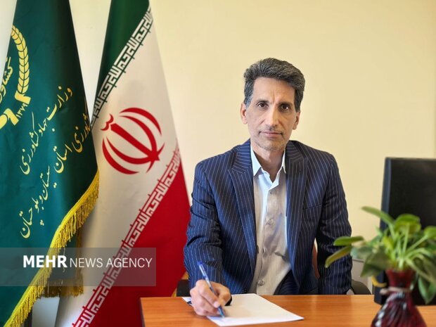 تولید بیش از ۱۱۰۰ تن تخم‌مرغ در زاهدان از ابتدای سال جاری