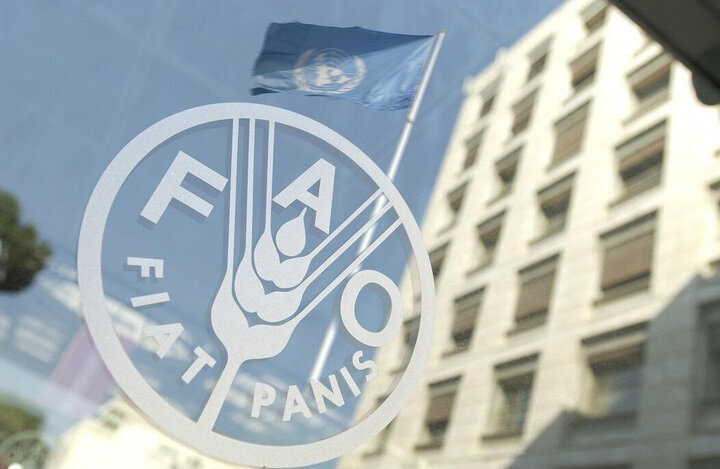 World food price rise set to continue if Iran war lasts: FAO