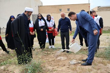 پویش «سرو ایران» در تنگستان برگزار شد