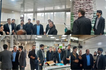 بازدید میدانی دادستان سرپل‌ذهاب از نانوایی‌ها و کارخانه آرد
