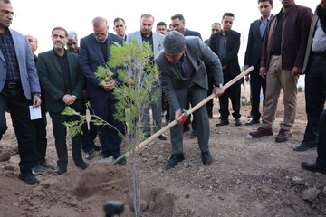 «پویش درختکاری ۱+۱۶۵» به یاد رهبر شهید و شهدای مدرسه میناب در کرمان
