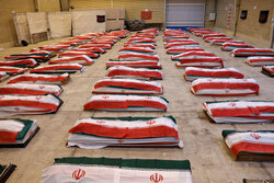 پیام تسلیت رئیس سازمان نظام پرستاری به مناسبت شهادت پرستار ناو دنا