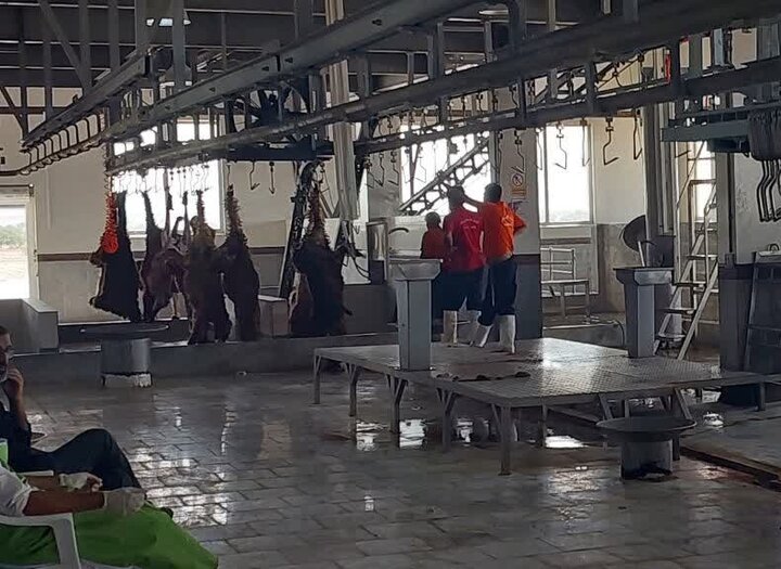 توسعه صنایع تبدیلی در استان بوشهر توسعه صنایع تبدیلی در استان بوشهر