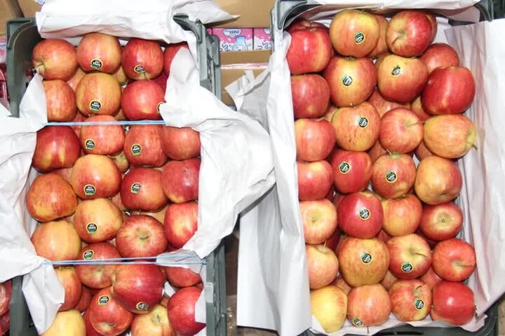 قیمت عمده‌فروشی میوه و سبزیجات تا ۲ فروردین اعلام شد+جدول