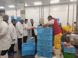 حفظ چرخه توزیع اقلام اساسی در سرخه؛دستگاه قضایی در میدان نظارت