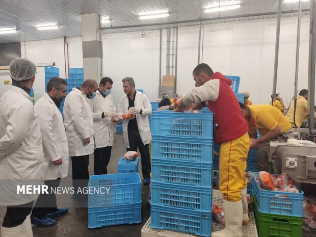 حفظ چرخه توزیع اقلام اساسی در سرخه؛دستگاه قضایی در میدان نظارت