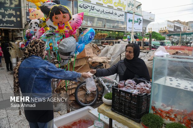 بازار گل و گیاه مشهد در آستانه عید نوروز