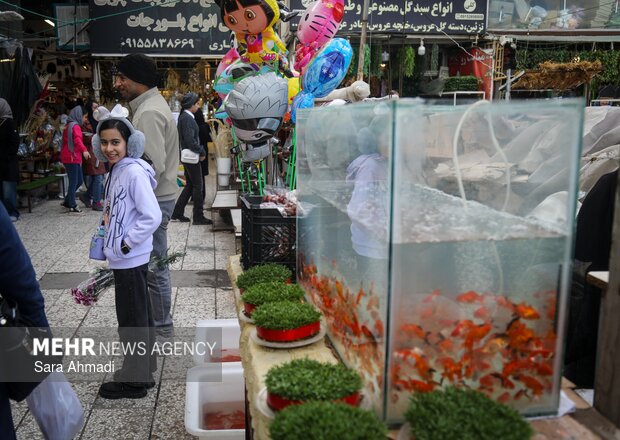 بازار گل و گیاه مشهد در آستانه عید نوروز