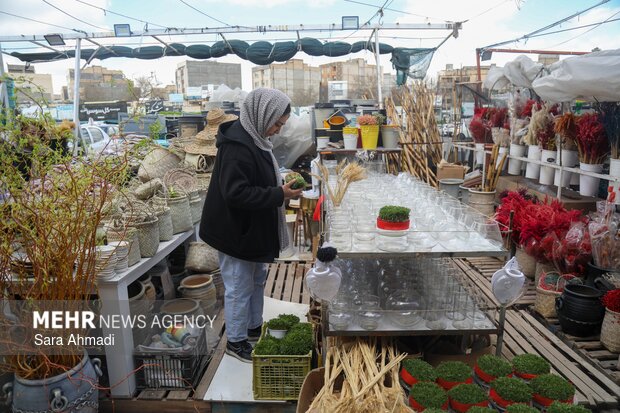 بازار گل و گیاه مشهد در آستانه عید نوروز