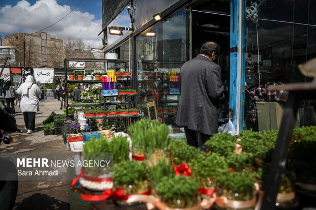 بازار گل و گیاه مشهد در آستانه عید نوروز