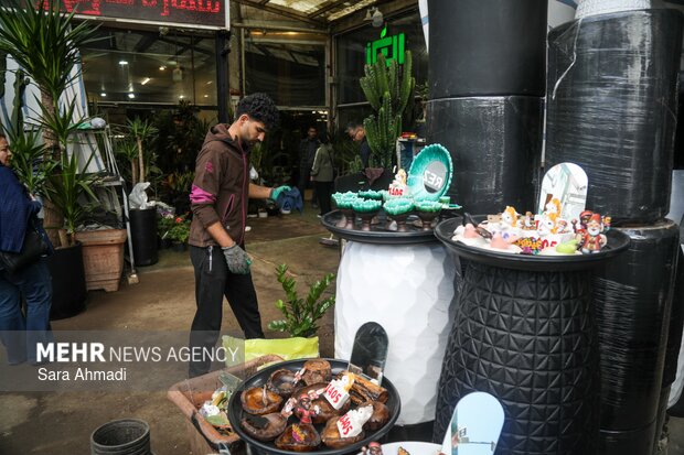 بازار گل و گیاه مشهد در آستانه عید نوروز