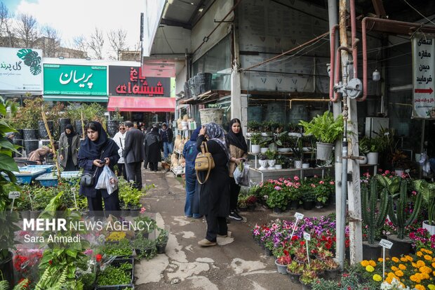 بازار گل و گیاه مشهد در آستانه عید نوروز