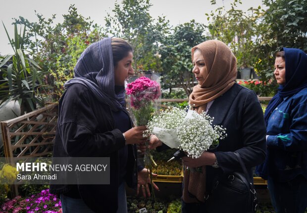 بازار گل و گیاه مشهد در آستانه عید نوروز