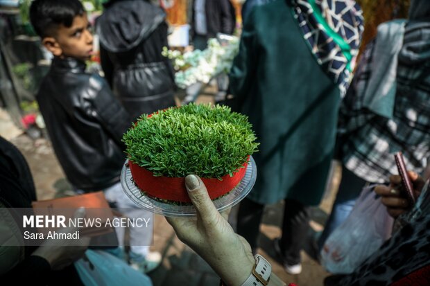 بازار گل و گیاه مشهد در آستانه عید نوروز