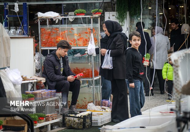بازار گل و گیاه مشهد در آستانه عید نوروز
