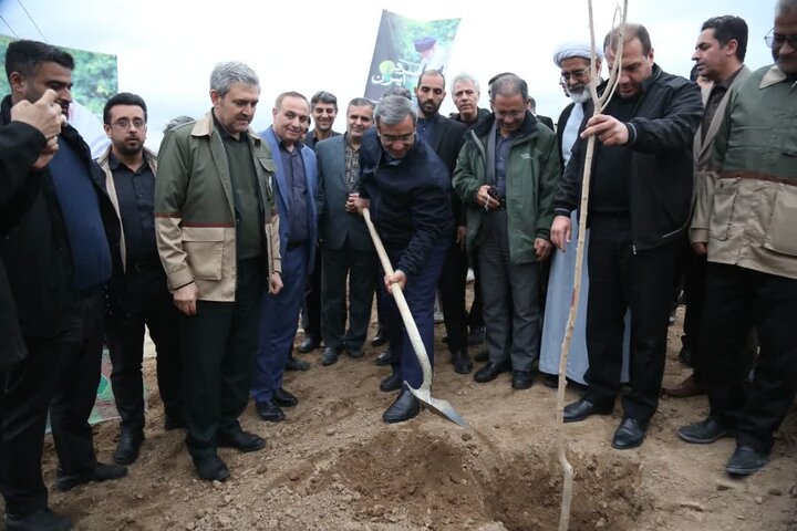 پویش ملی درختکاری «سرو ایران» در مشهد برگزار شد