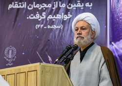 آیت الله دژکام: مطالبه خون شهدا وظیفه دینی و ملی ماست