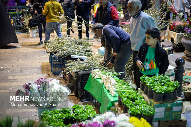 مازندران در آستانه نوروز؛ زندگی در هیاهوی جنگجاری است