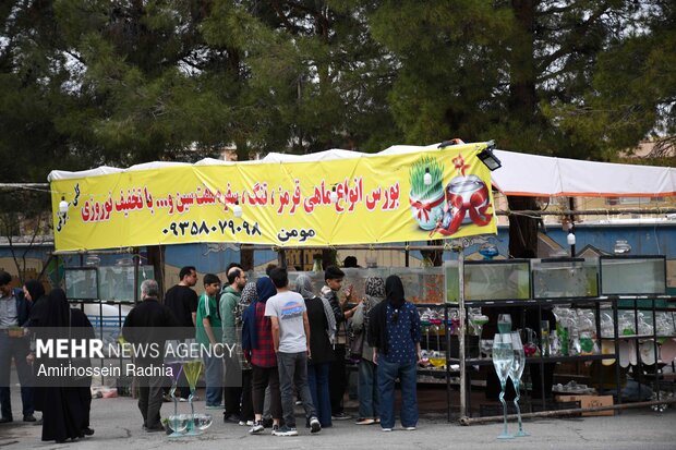 بیرجند در ساعات پایانی سال ۱۴۰۴