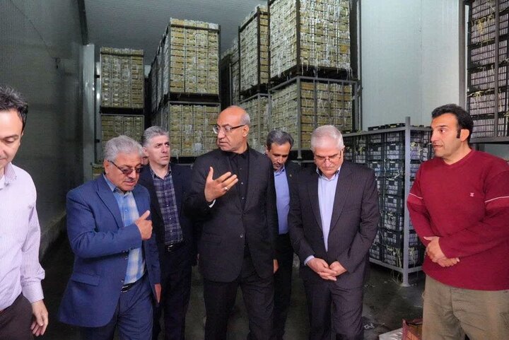 استاندار کرمانشاه: بازار کرمانشاه در آرامش کامل است