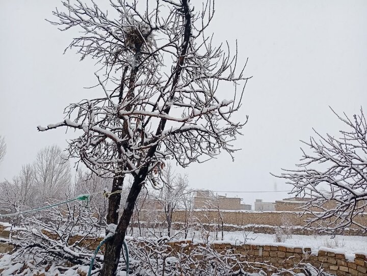 برف بهاری سفتجان را سفیدپوش کرد