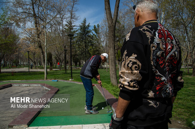 نبض زندگی در مشهد