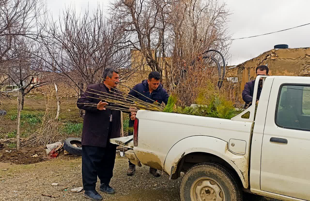 توزیع ۱۵۰ اصله نهال درچوبلاغ؛ استمرار پویش «سرو ایران» با مشارکت مردم توزیع ۱۵۰ اصله نهال درچوبلاغ؛ استمرار پویش «سرو ایران» با مشارکت مردم