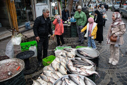 نبض زندگی در گرگان