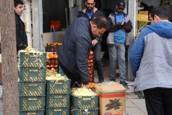 تشکیل ۶۴ پرونده تخلف در پی ۷۳۴ بازرسی از بازار قزوین