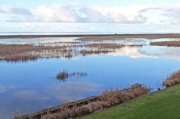 حسینی طایفه: پروژه احیای تالاب بوجاق به ثمر نشست