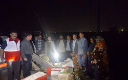 کمک‌رسانی به عشایر دشتستان انجام شد