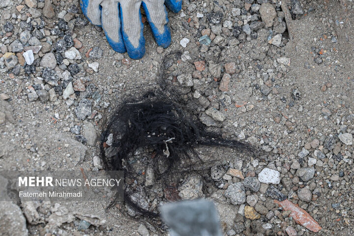 Jihadi groups making effort to rebuild war-hit areas
