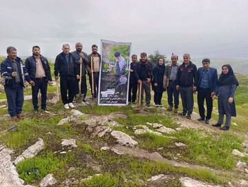کاشت ۲۷۰ اصله نهال در کهگیلویه و بویراحمد