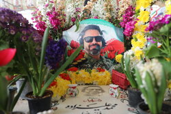 بهار در قطعه ۴۲