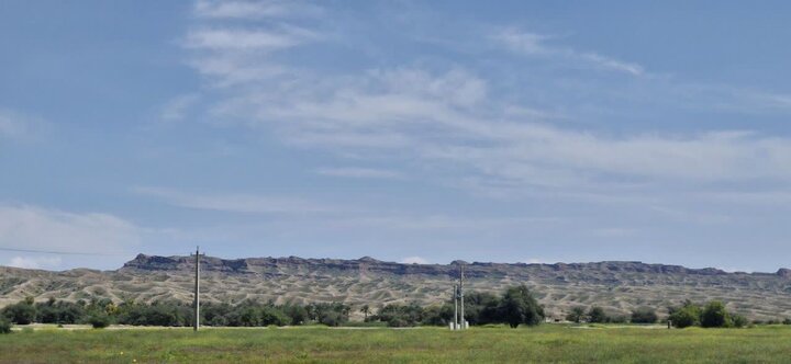 کشاورزی «بوشکان» نیازمند توجه ویژه؛ از روزهای پررونق تا بی‌آبی و افول