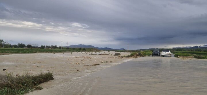 کشاورزی «بوشکان» نیازمند توجه ویژه؛ از روزهای پررونق تا بی‌آبی و افول