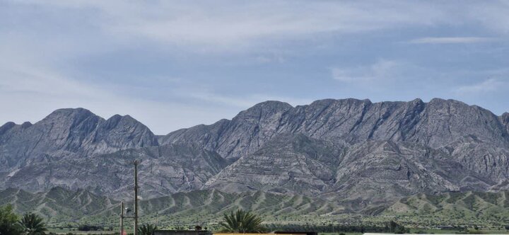 کشاورزی «بوشکان» نیازمند توجه ویژه؛ از روزهای پررونق تا بی‌آبی و افول