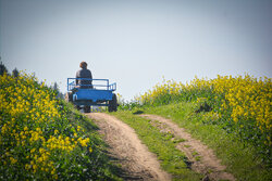 واسطه: کشاورزان خراسان شمالی با هماهنگی اقدام به کشت کنند