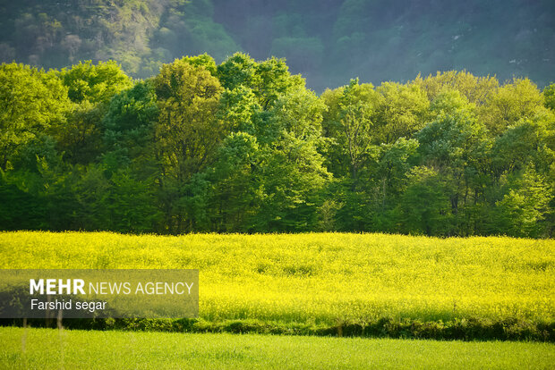 ارائه راهکارهای عملیاتی برای تقویت تاب‌آوری بخش کشاورزی