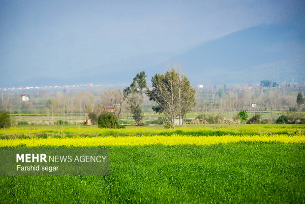 پیگیری جدی تسهیلات حمایتی در سال ۱۴۰۵