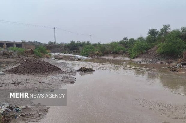 خسارت ناشی از سیل و تگرگ به بیمه‌گذاران کشاورزی پرداخت می‌شود