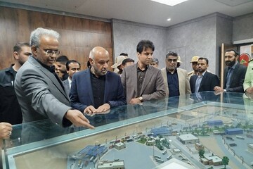 بررسی موانع اداری در پایانه مرزی میرجاوه توسط وزیر کار
